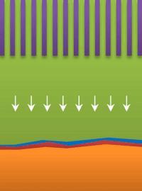 Whiskers, surface growth and dendrites in lithium batteries